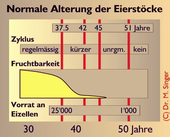 Fruchtbar wann ist eine frau nicht Menopause: Trotzdem